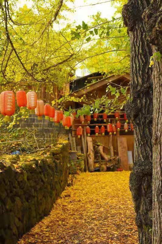 云南10天自驾旅游线路攻略大全,十一云南旅游最佳路线图