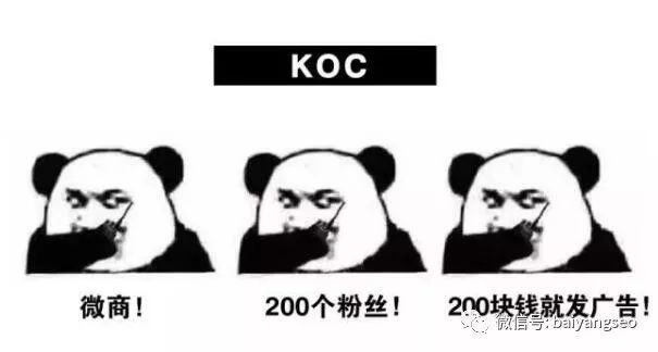 私域流量koc详细介绍,koc私域流量是什么意思