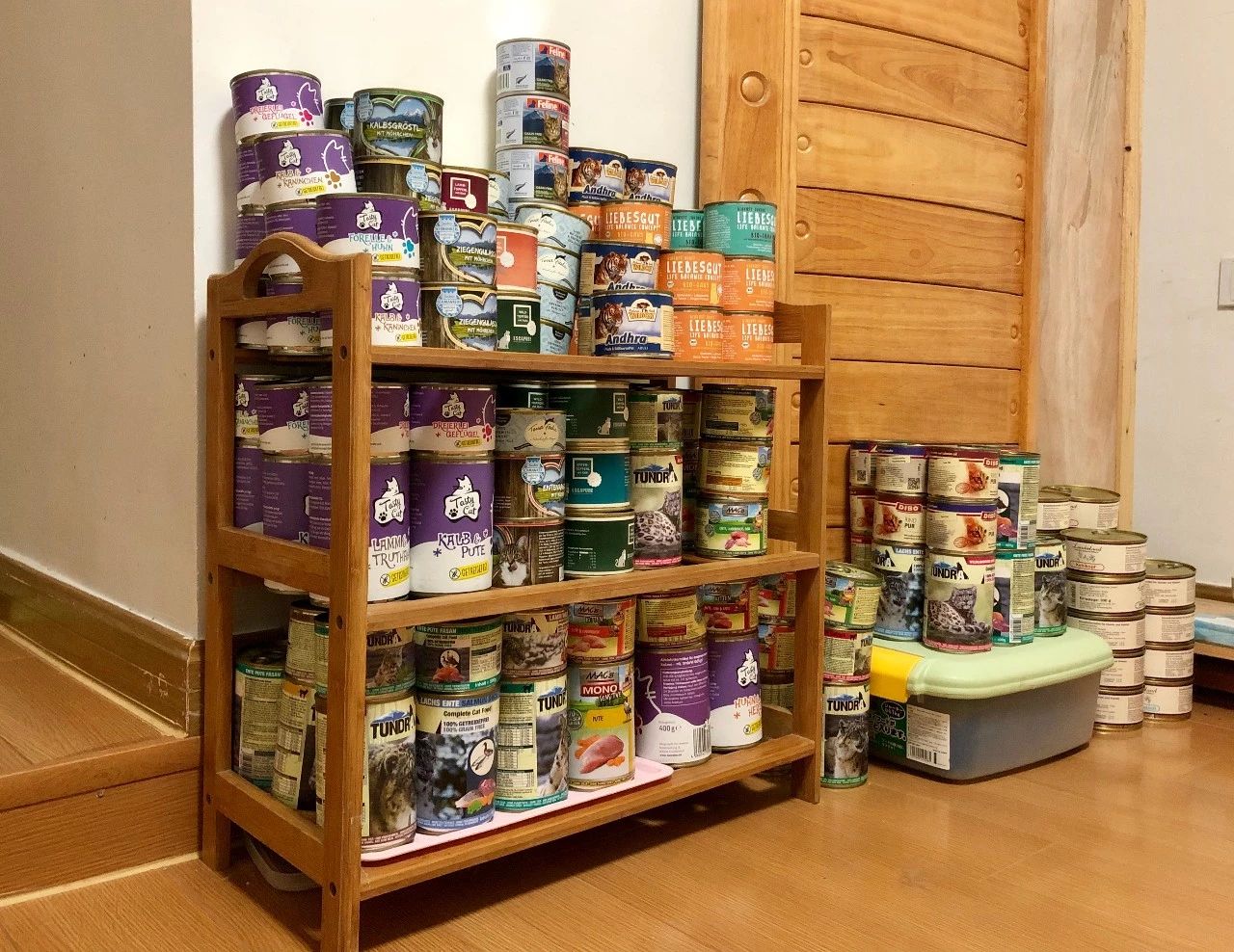 猫龄十年突然不吃猫粮,我家猫突然不爱吃鱼了