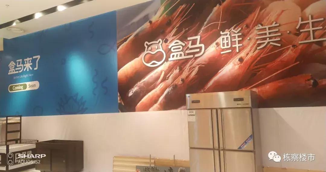 2019沈阳的高大上全指望“你们”了|商谈NO.27