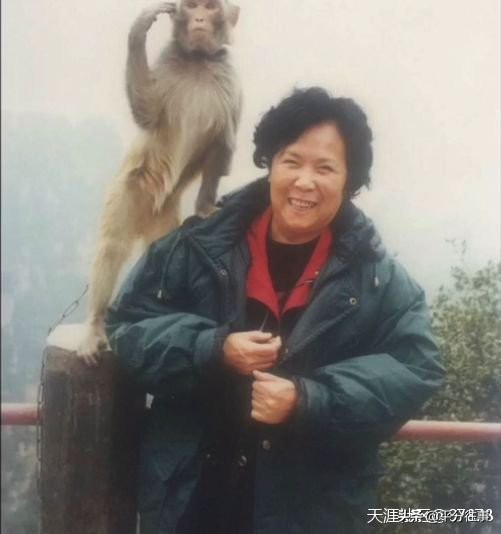 西游记续集为啥没有第一部好看,西游记续集为什么没有前作经典