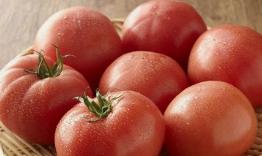 贵州酸汤鱼的酸汤做法,贵州酸汤鱼酸味怎么来的