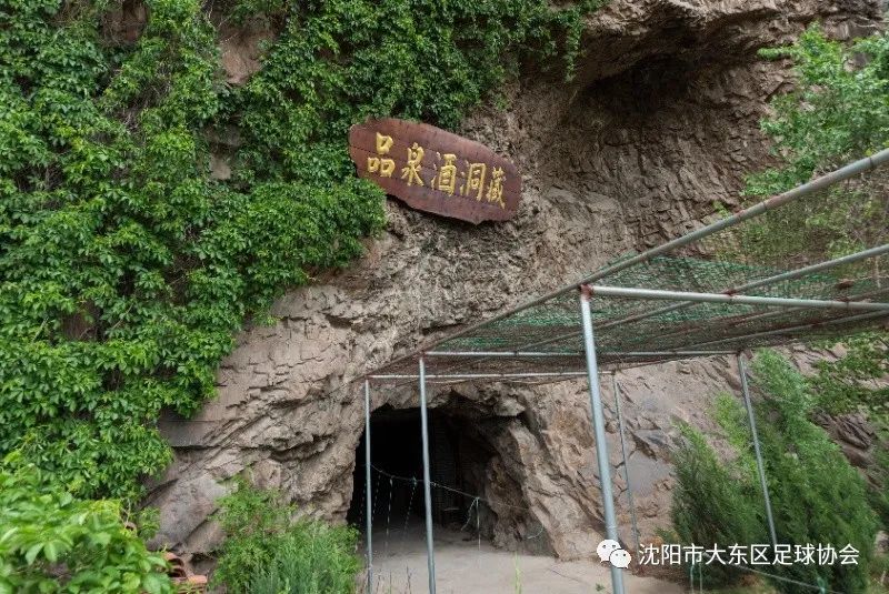 鍝佹硥閰掑巶,鍝佹硥閰掍笟鏈夐檺鍏徃