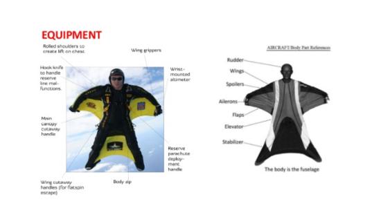 追求自由和刺激,追求刺激和自由