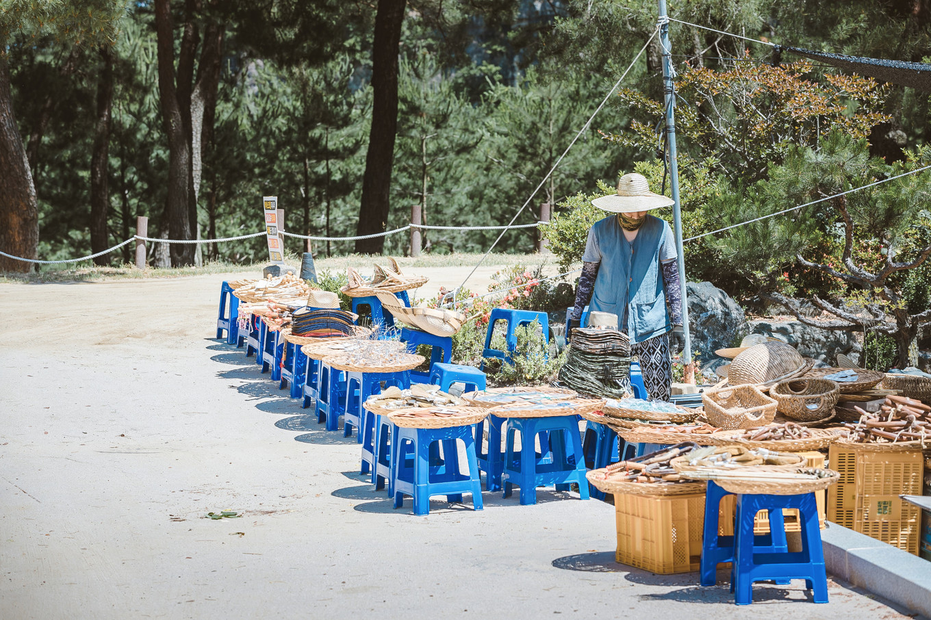 庆北三日，解锁你不知道的文化Korea