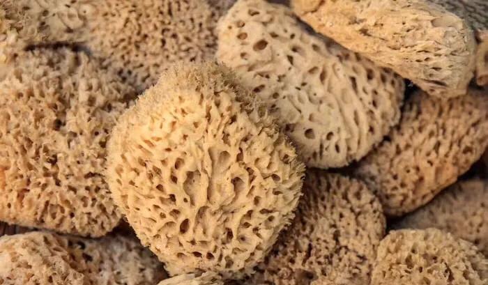 每天都要与大海亲密接触,夏天就应该和大海亲密接触