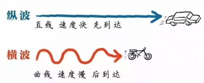 地震波都有什么,地震波纵波和横波