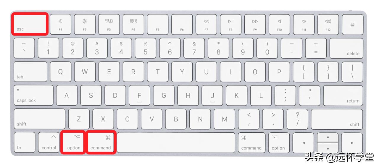 mac卡死了不能关闭程序,macos应用无法打开
