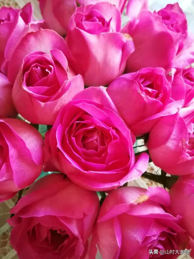 冷制香皂制作配方,手工香皂制作配方