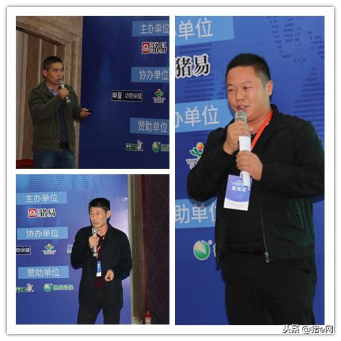 养猪如何支撑利润目标达成,养殖猪发展趋势