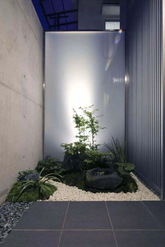 室内做的景观,室内景观打造过程