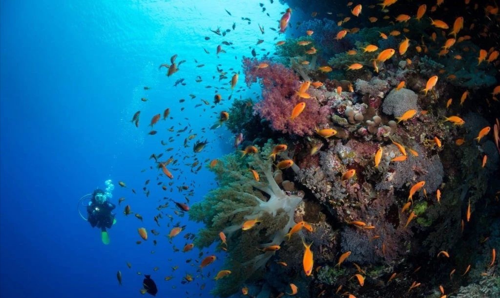 走进埃及撒哈拉沙漠,走进埃及神秘千年古城