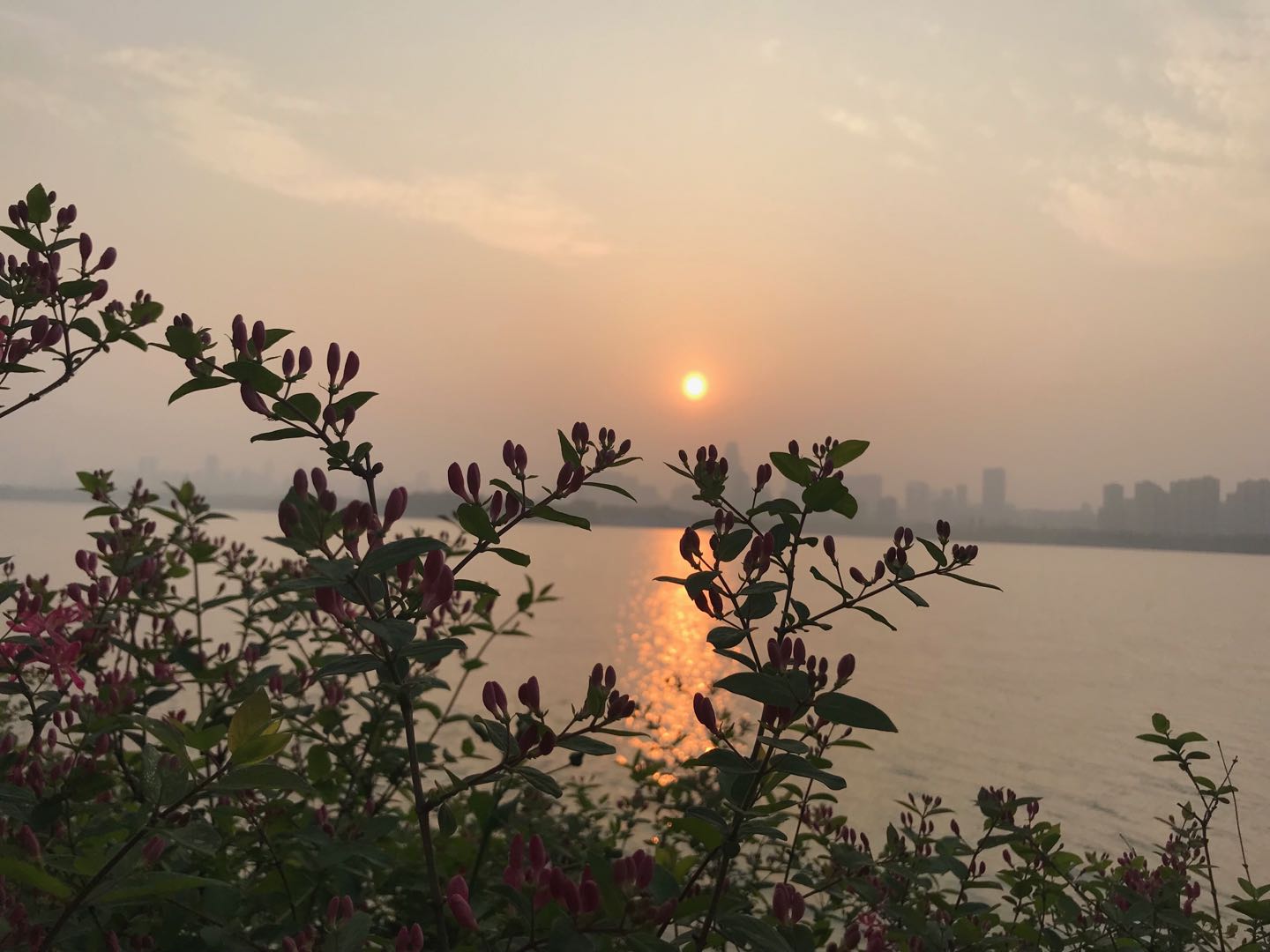 如何“杀”死你老婆？这篇高难度技术贴，看到最后才算赢