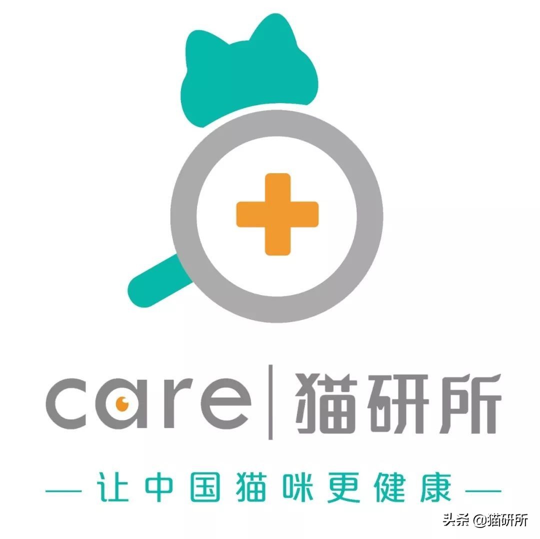 猫咪项圈对人有没有危害,猫咪项圈对猫咪有危害吗