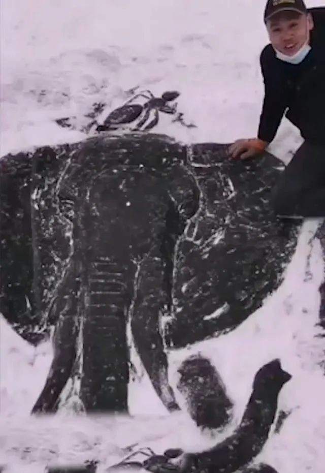 抓住冬天的小尾巴什么意思,抓住冬天的小尾巴再帅一把