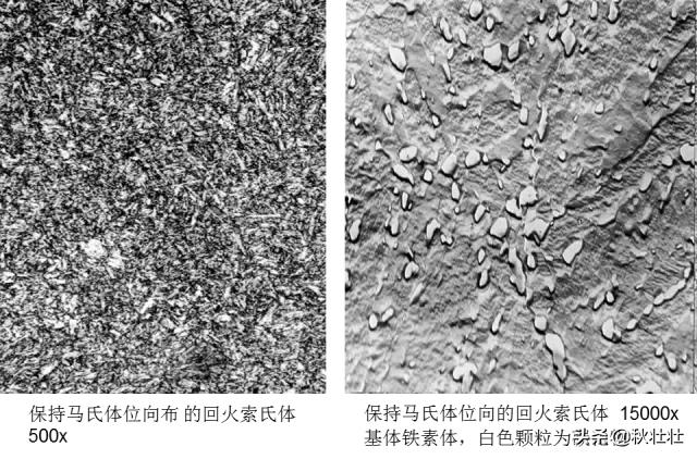 马氏体和奥氏体金相图片,马氏体和珠光体金相区别
