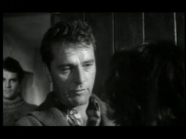 奥黛丽·赫本两次离婚的原因,奥黛丽赫本二次婚姻