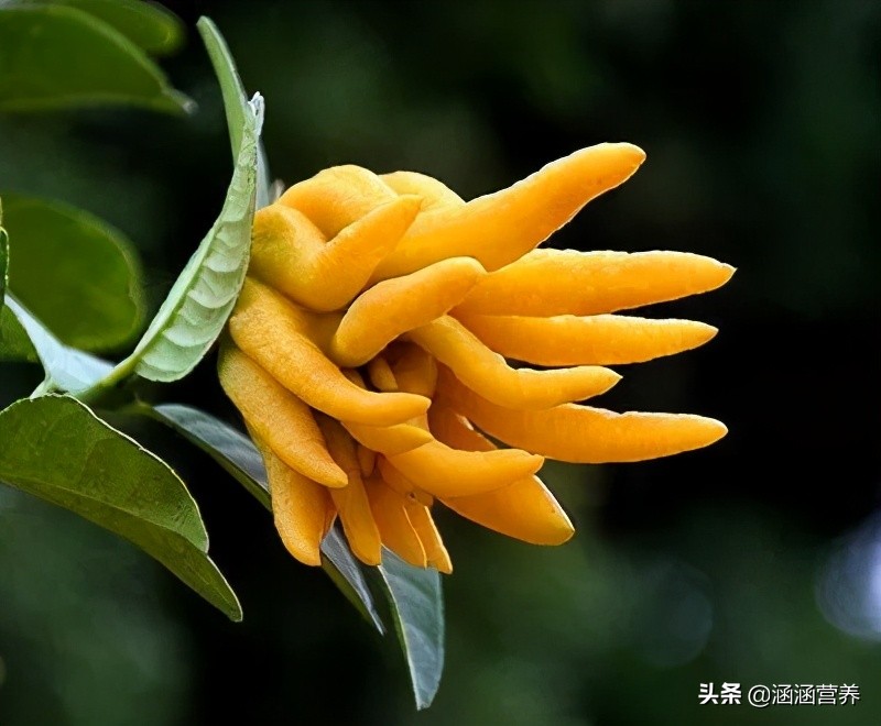 经常生气暴躁控制不住是什么病,我最近总是爱生气易怒是怎么回事