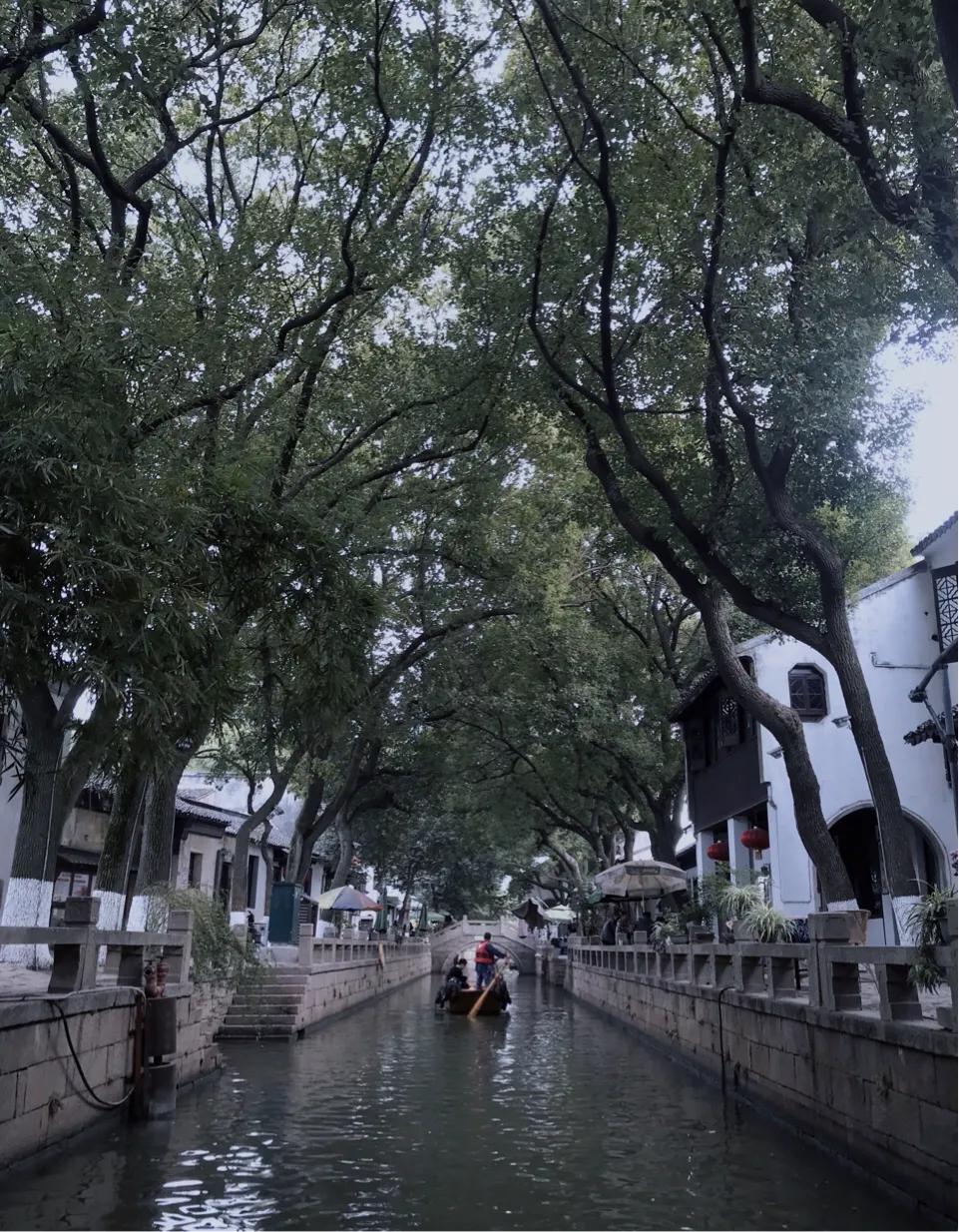 上海同里一日游最佳路线,苏州同里一日游费用