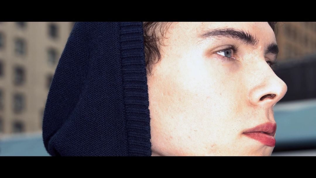 猫咪杀人案真实案例,猫咪被谋杀肢解抛尸案