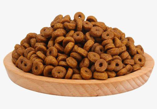 养狗狗不容易长大怎么办,养宠小知识狗狗篇之幼犬妙招