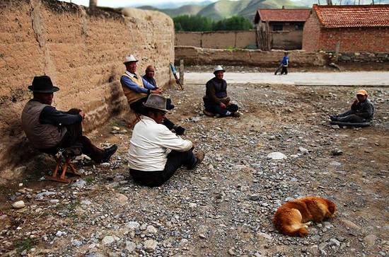 墙根蹲着的老大爷,墙根下的老人视频