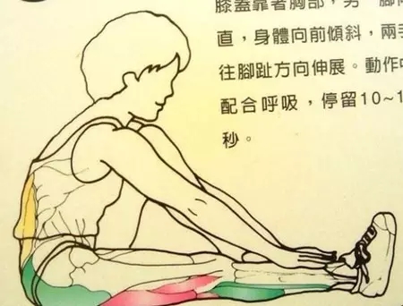 背拉筋动作,腰拉筋的正确方法图解