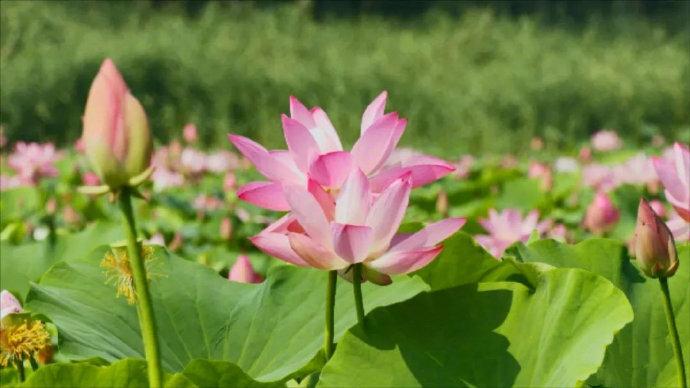 癌症信号早知道,癌症早期信号