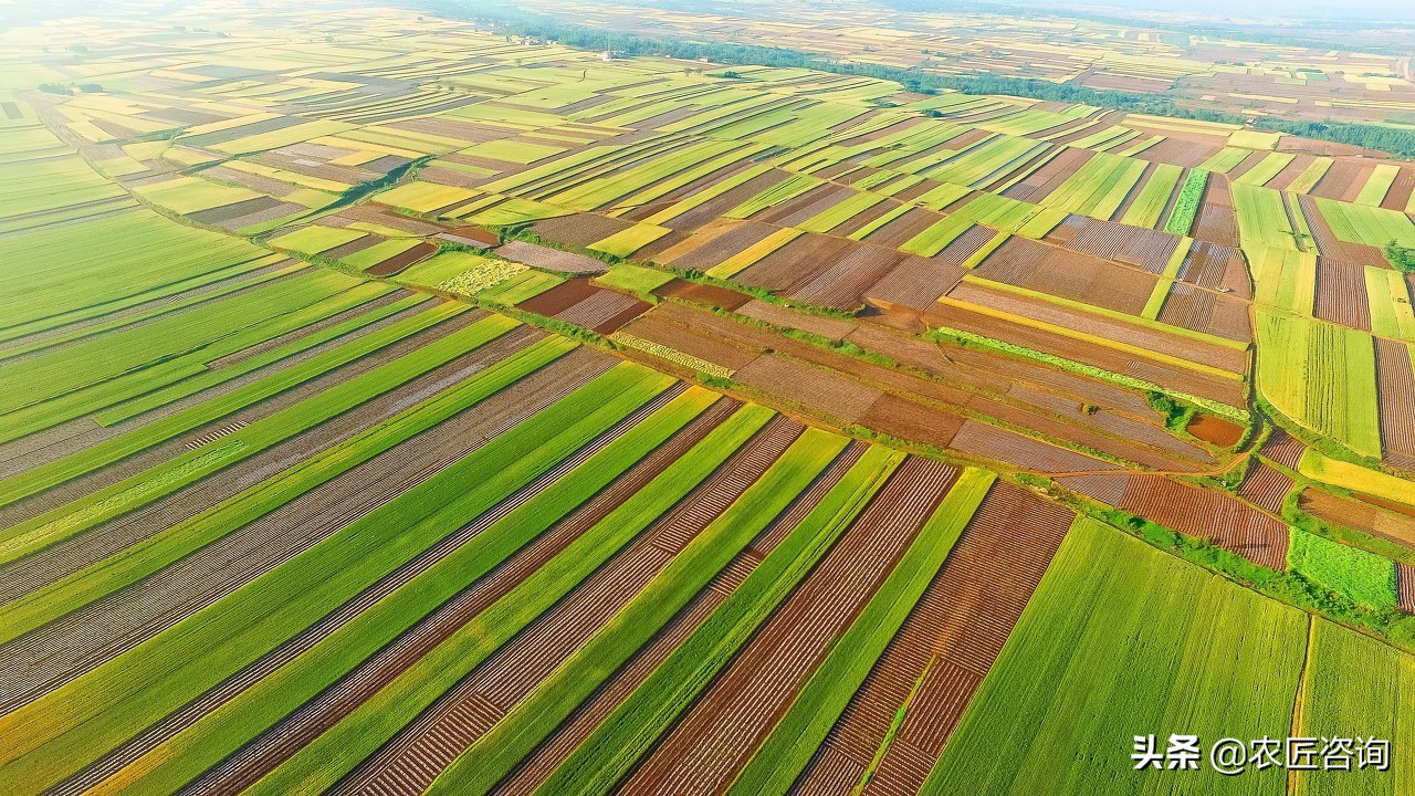 农业开发产业化经营,农业综合开发有什么项目