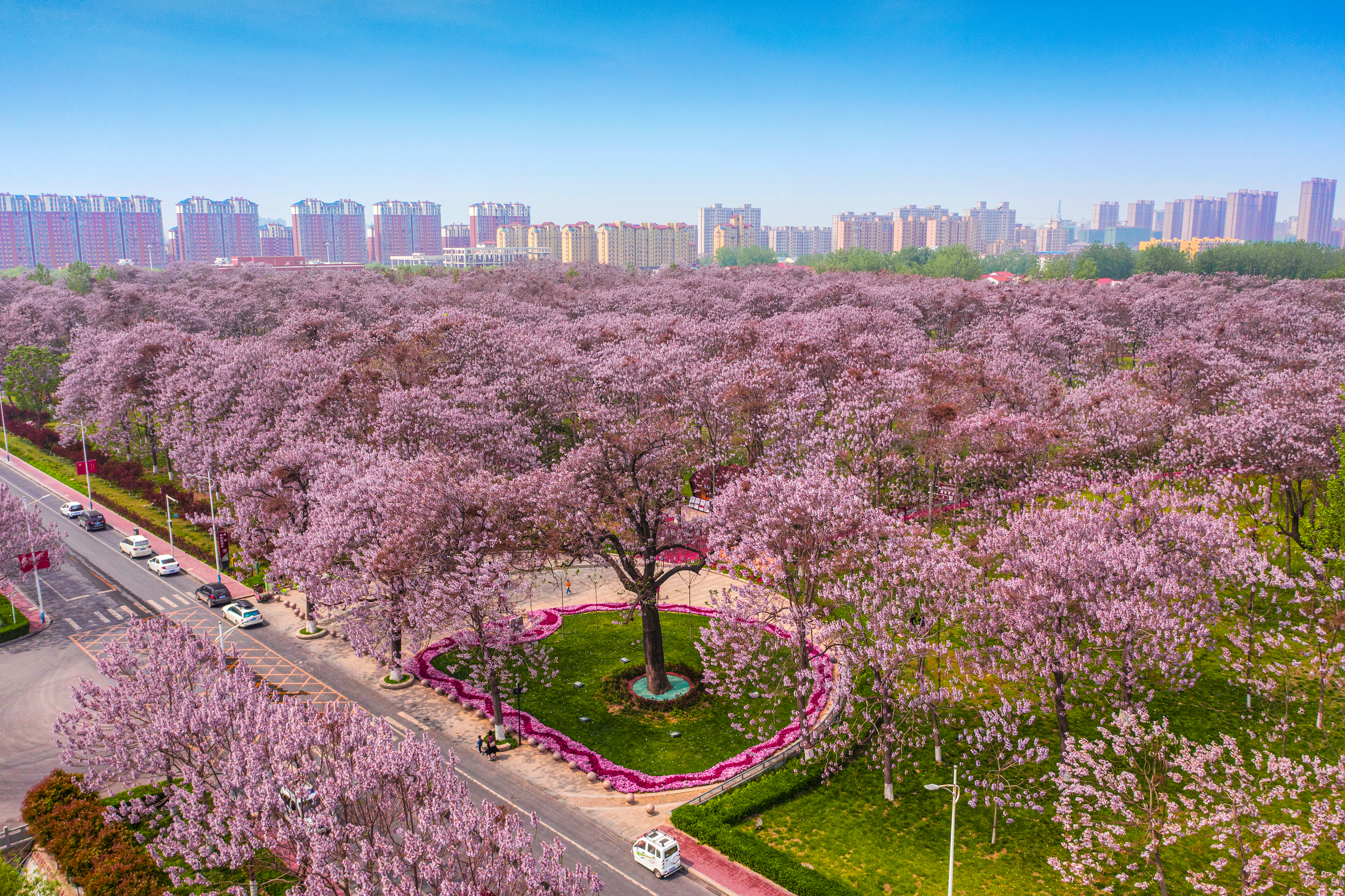 兰考新貌摄影集,兰考摄影团队