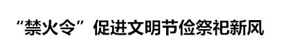 文明祭祀防山火共护绿水青山,清明节文明祭祀预防火灾工作简报