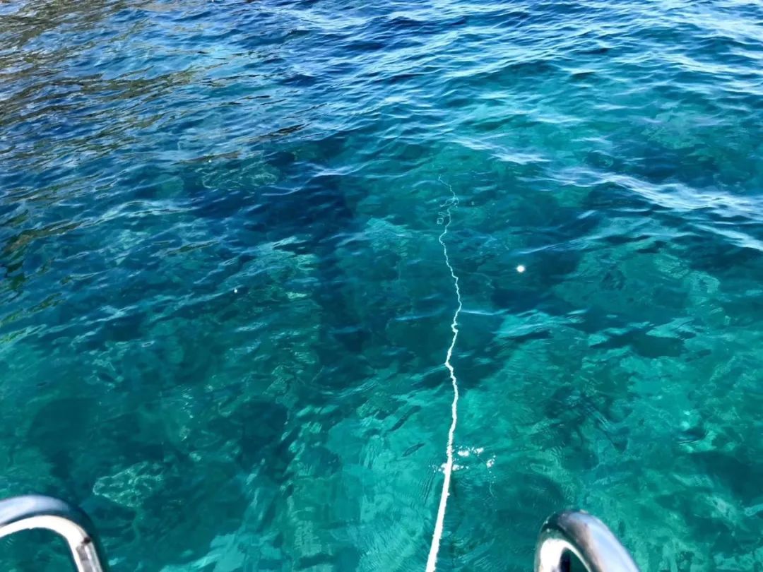 厦门不止鼓浪屿,厦门不止有海还有茉莉花