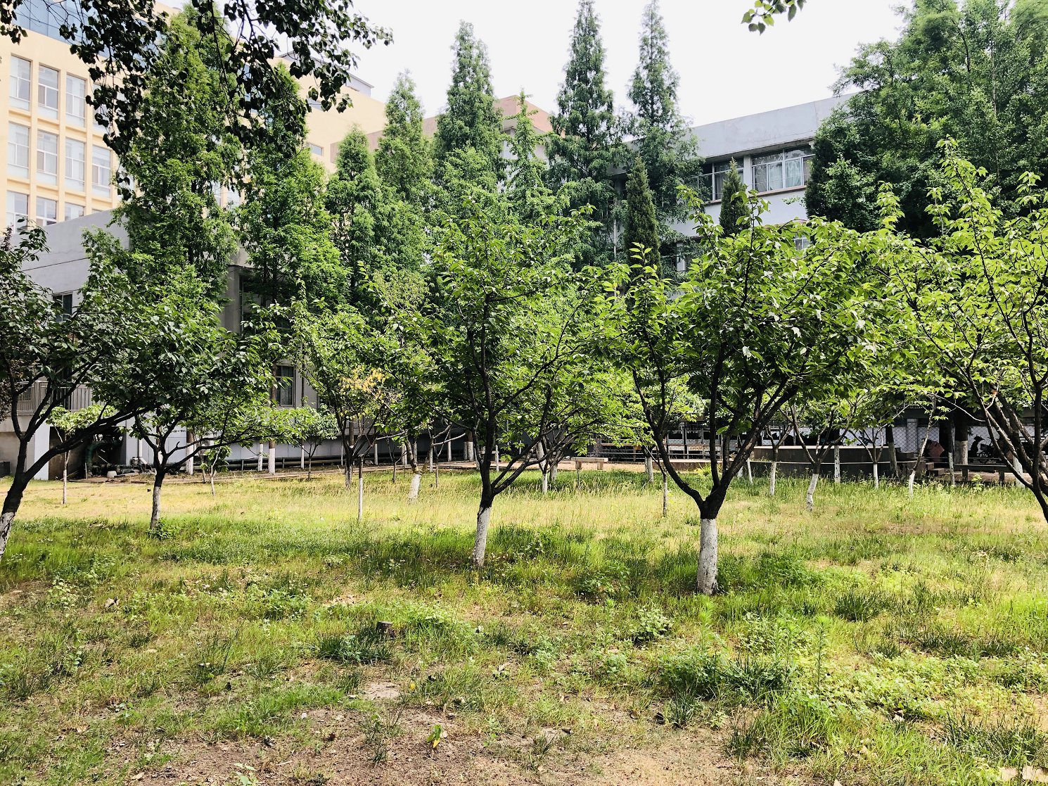 旅游日记：潍坊医学院虞河校区，山东五大独立医学院之首