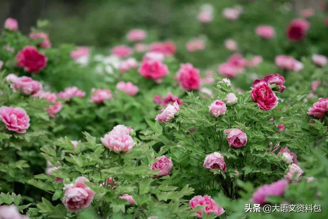 如果颜色也有七情六欲，哪种颜色最深情？最美中国色美得不可方物