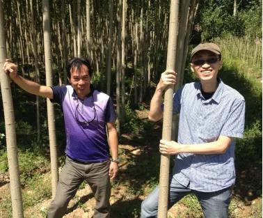 让农业回归原生态,呼唤传统农业回归