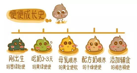 宝宝腹泻消化不良吃什么辅食,婴儿吃辅食后消化不良引起的腹泻