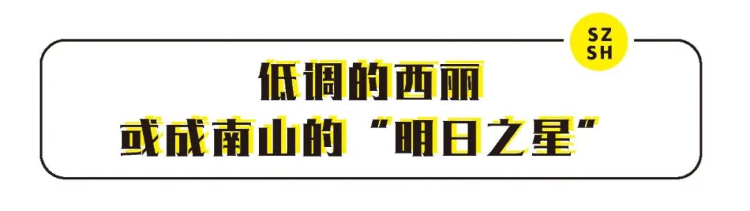 深圳西丽富人区小区有哪些,西丽宜居片区