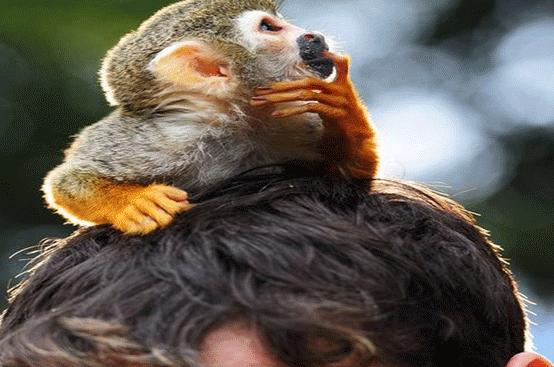 926来了！一起嗨购会员节吧