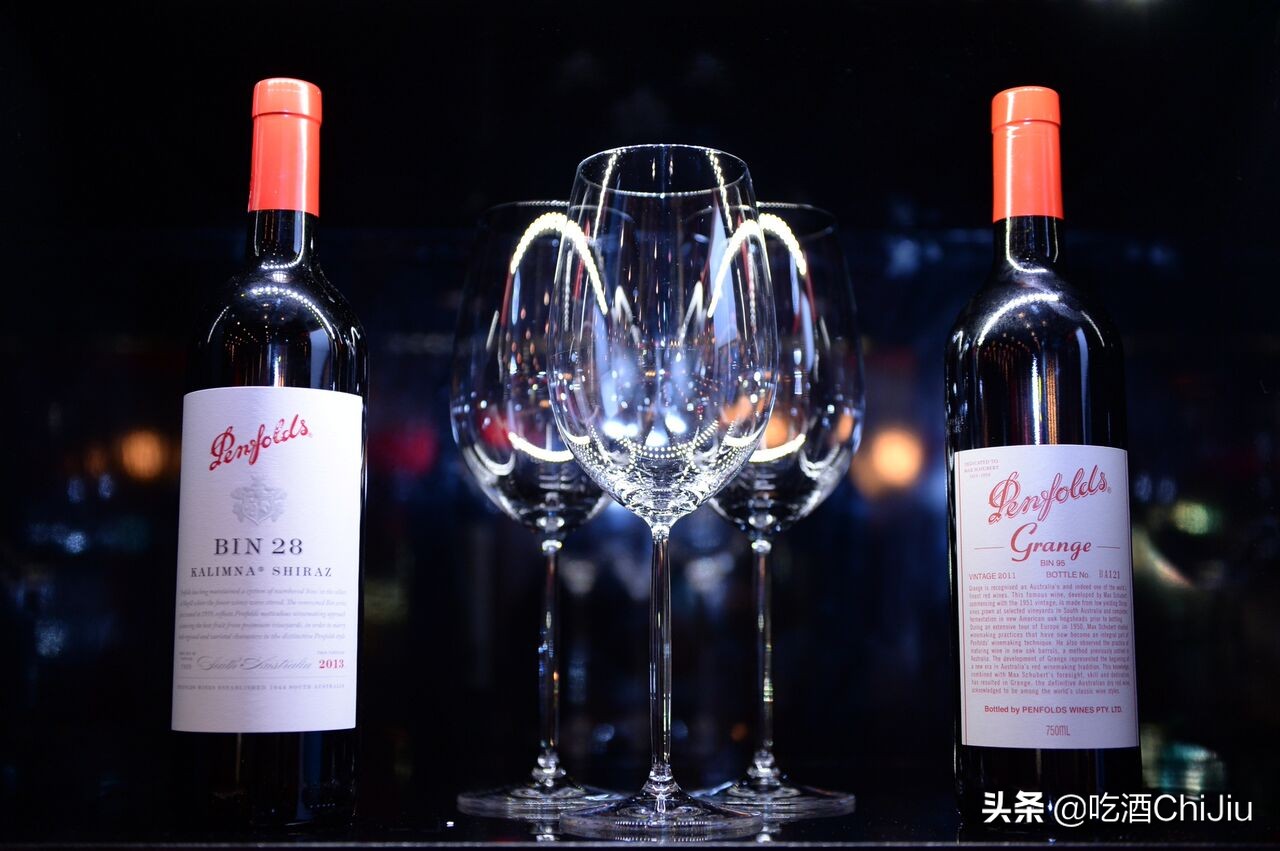 奔富红酒发展前景,奔富红酒属于什么系列的