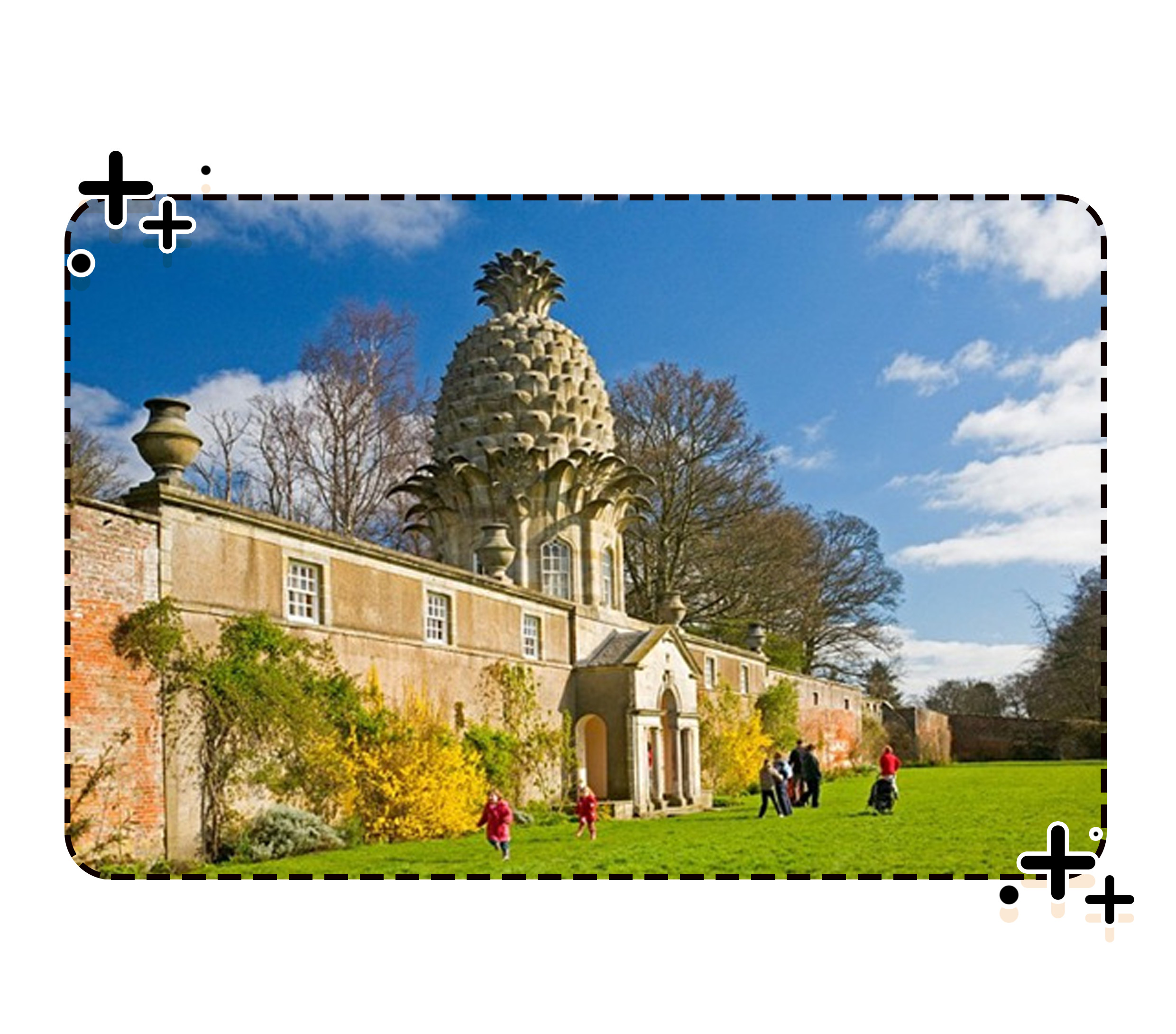 带上菠萝回古代，你就是全欧洲最有钱的仔（菲李漫画）