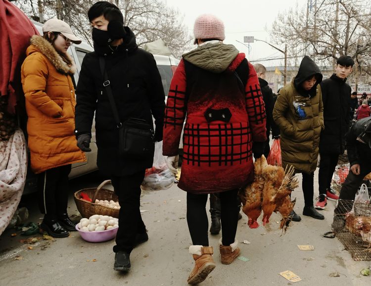 现在洛阳谷水还有没有赶集,洛阳过年会下雪吗