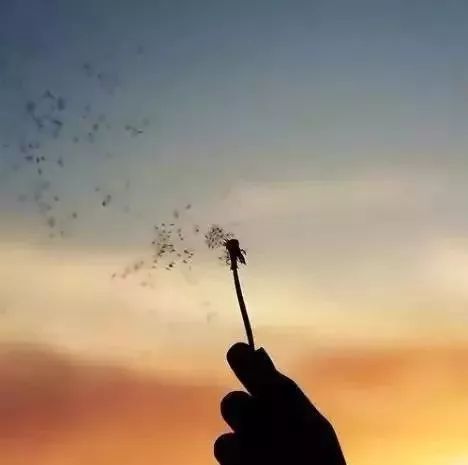 朋友圈刷屏的《千万不要拿生命去发生性关系》，记得可……