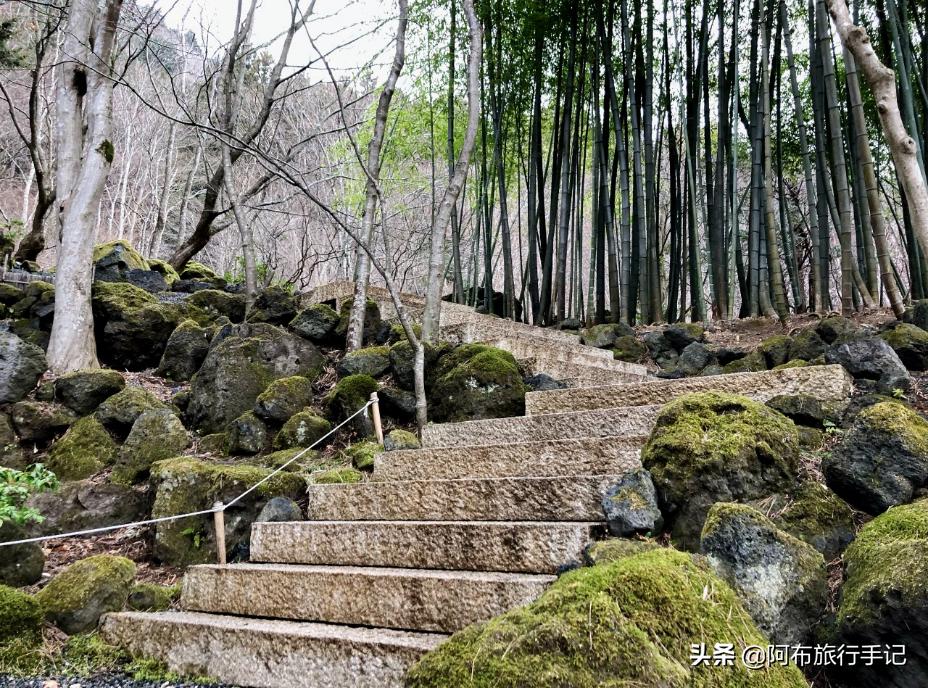 日本顶级的庭院,日本最漂亮庭院