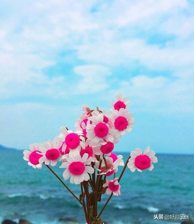 早安经典语录发朋友圈,早安正能量接地气简单语录