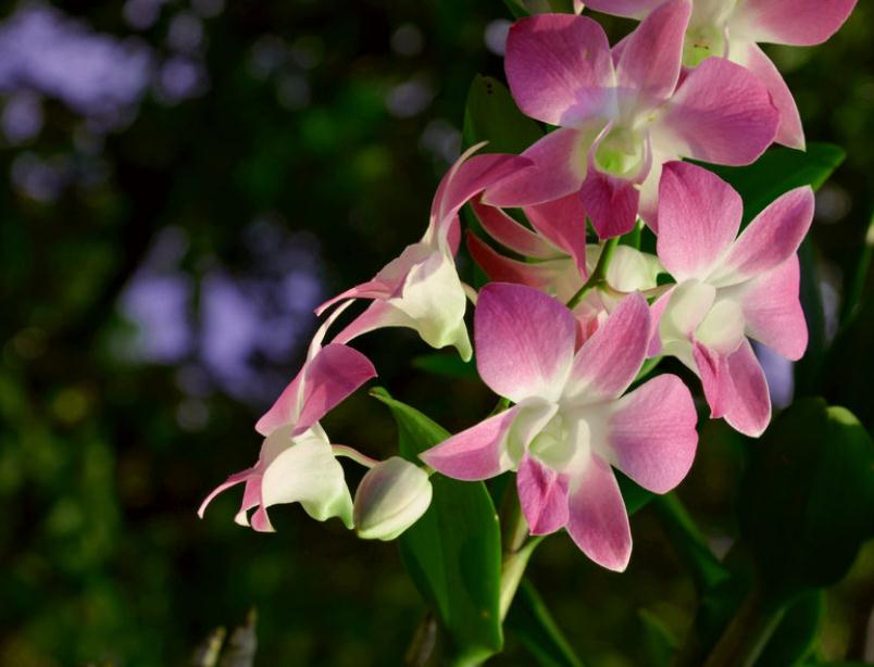 做人留三分说话留七分,话留三分软人留七分暖是什么意思