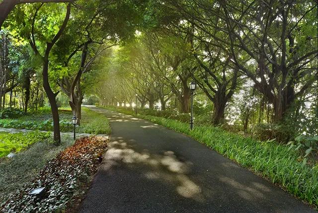 广州cbd四大豪宅,广州豪宅看广马