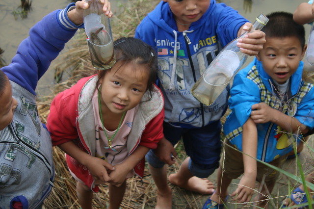 我和妈妈捉泥鳅,我和爸爸去捉泥鳅作文