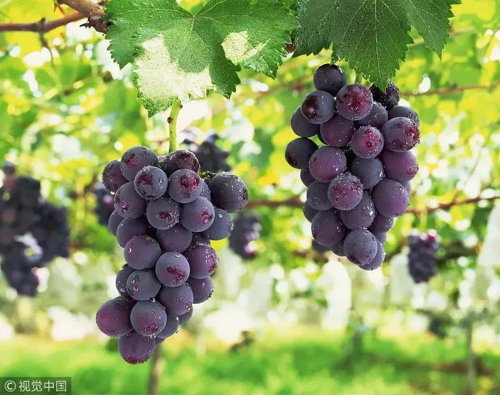 多名女性受害的后果,多名女性受害案