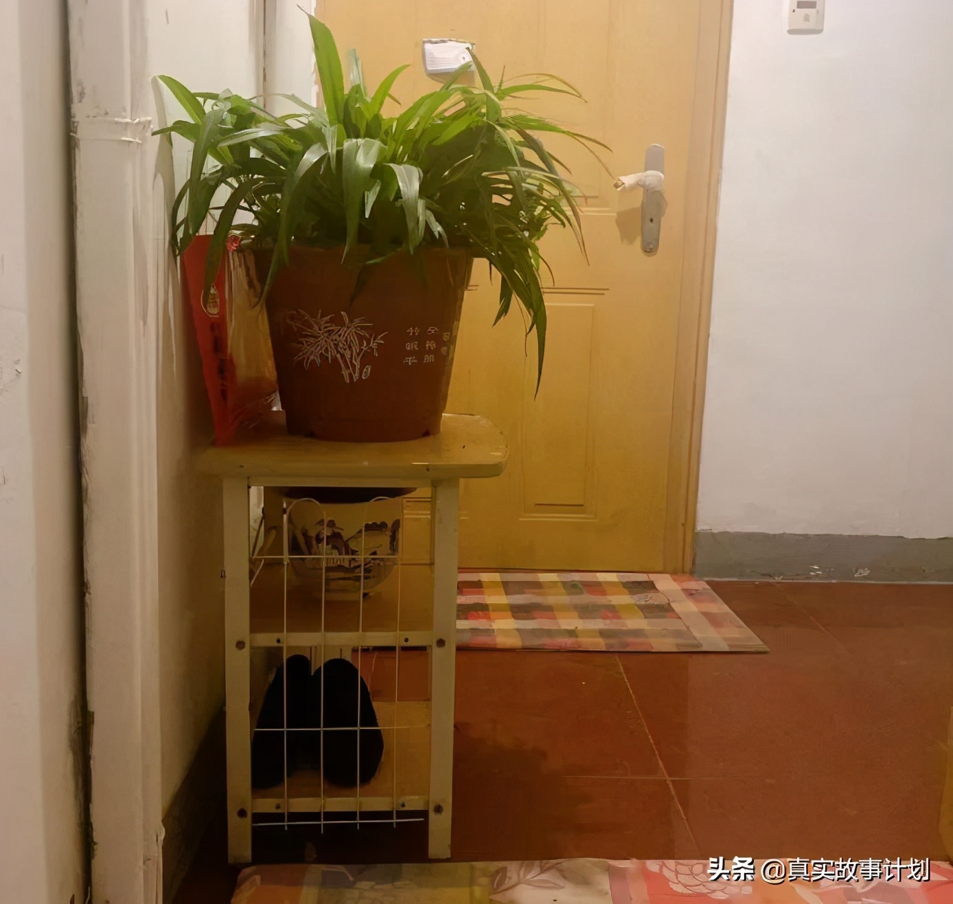 蛋壳爆雷后的房主与租客的故事,蛋壳爆雷中介模式