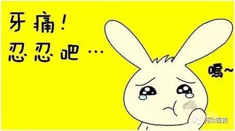 牙疼不是病疼起来真要命是真的吗,科普牙疼不是病疼起来真要命
